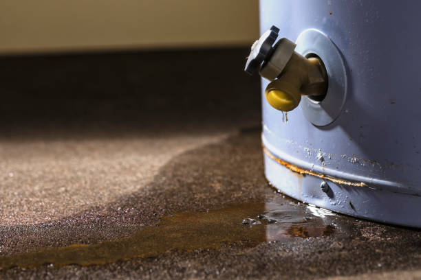 Best Water damage restoration mold remediation  in Centennial, CO