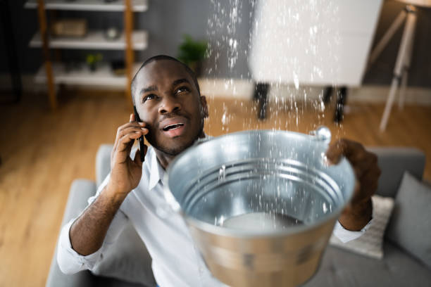 Best Ceiling water damage repair  in Centennial, CO