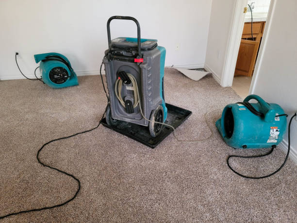 Professional Water damage restoration in CO