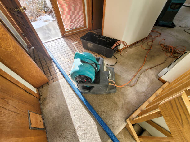 Best Sewage cleanup and water damage restoration  in Centennial, CO