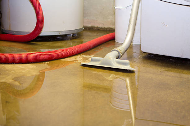 Best Water damage repair service  in Centennial, CO