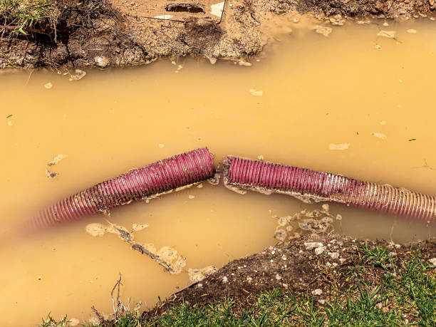 Water damage restoration mold remediation in CO