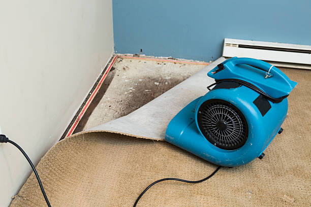 Best Local water damage restoration  in Centennial, CO